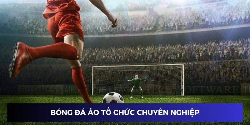 Bóng đá ảo tổ chức chuyên nghiệp