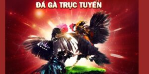 đá gà trực tiếp 79king